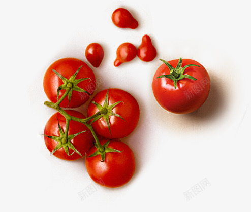红色番茄蔬菜png免抠素材_新图网 https://ixintu.com 番茄 红色 蔬菜