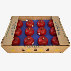 苹果水果盒素材