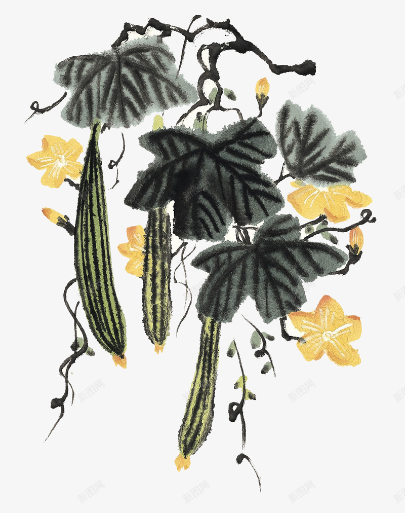 蔬菜食物png免抠素材_新图网 https://ixintu.com 果实 植物 水墨 黄瓜