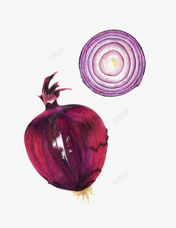 手绘紫色洋葱png免抠素材_新图网 https://ixintu.com 卡通 手绘 插画 洋葱 蔬菜 食物