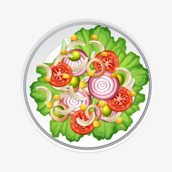 一盘洋葱西红柿生菜蔬菜矢量图素材