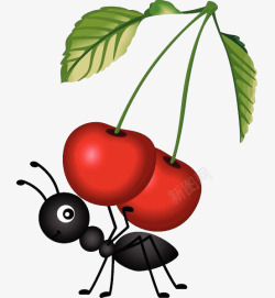 摘樱桃的蚂蚁素材