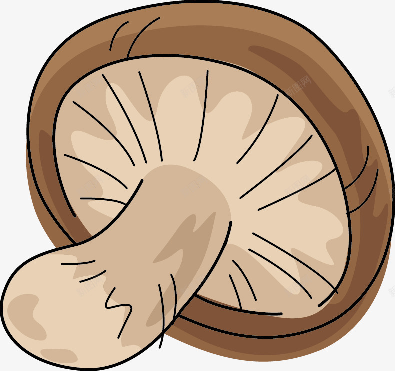 香菇简图png免抠素材_新图网 https://ixintu.com 一个 卡通 手绘 棕色 白色 简图 蔬菜 香菇