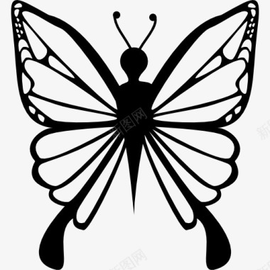 femenine蝴蝶视图图标图标