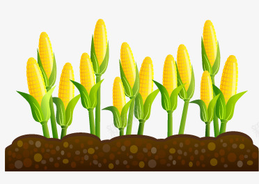 黄色玉米png免抠素材_新图网 https://ixintu.com 农作物 卡通 大棚蔬菜 玉米
