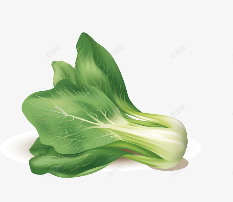 小白菜png免抠素材_新图网 https://ixintu.com 上海青 小白菜 摄影 新鲜蔬菜 生物世界 绿色蔬菜 蔬菜