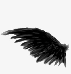 简约涂鸦黑色翅膀高清图片