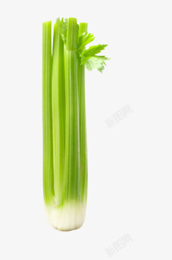 生鲜蔬果字体蔬菜之芹菜茎高清图片