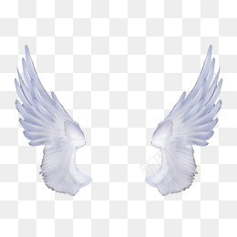 翅膀png免抠素材_新图网 https://ixintu.com 白色翅膀 金属翅膀 银色翅膀