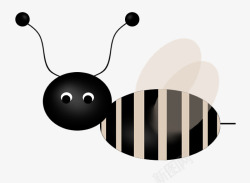 黑色蜜蜂黑色小蜜蜂高清图片