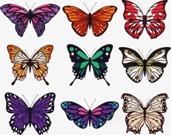 蝴蝶装饰集合彩色蝴蝶装饰矢量图高清图片