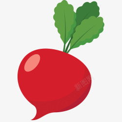 红萝卜蔬菜素材