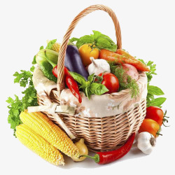 手提篮里面的蔬菜素材