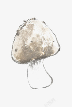 黑皮鸡枞菌鸡枞菌蘑菇高清图片