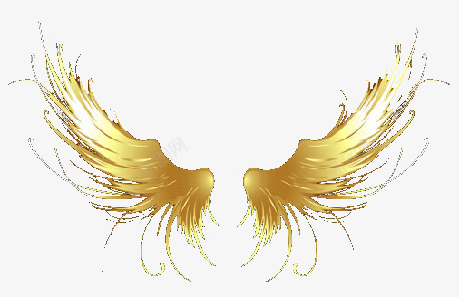 美丽的翅膀png免抠素材_新图网 https://ixintu.com 漂亮的 金色的 飞