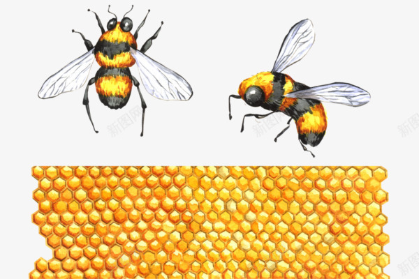 蜜蜂和蜂蜜png免抠素材_新图网 https://ixintu.com 卡通 手绘 翅膀 蜂蜜 蜜蜂 金色 黄色