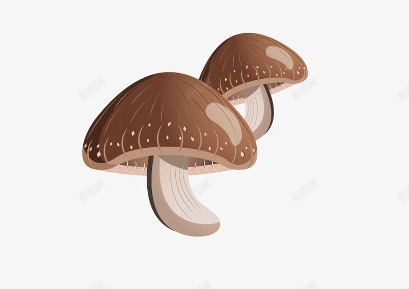 香菇矢量图ai免抠素材_新图网 https://ixintu.com 可爱香菇 新鲜蔬菜水果蔬菜蔬菜餐饮美食 矢量图 透明蔬菜 香菇