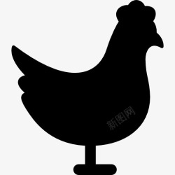 矢量寻找投资者图标鸡寻找正确的图标高清图片