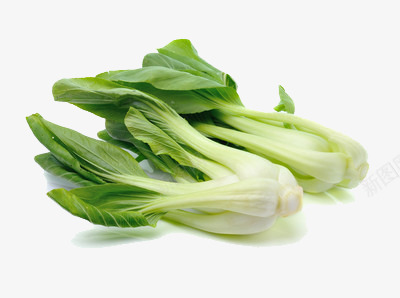 新鲜小白菜png免抠素材_新图网 https://ixintu.com 上海青 绿色 蔬菜