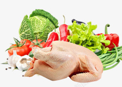 鸡肉和蔬菜素材
