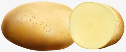 淀粉土豆矢量图素材