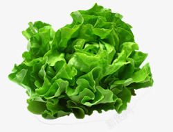 绿菜叶野菜高清图片