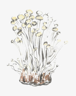 有机金针菇手绘金针菇高清图片