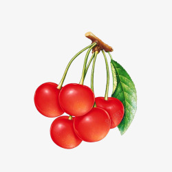 补血水果手绘一串红色诱人的樱桃高清图片