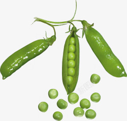 绿色青豆豌豆高清图片