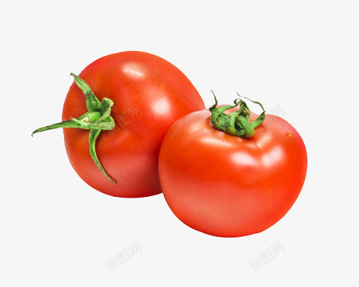 番茄西红柿实物图png免抠素材_新图网 https://ixintu.com 实物图 番茄 蔬菜 西红柿 食物