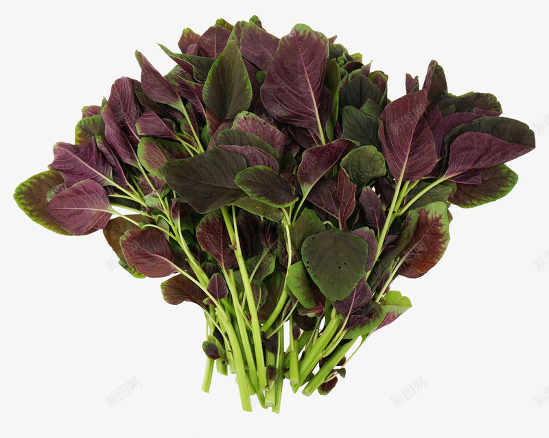 紫色蔬菜png免抠素材_新图网 https://ixintu.com 生菜 苋菜 菜叶 野生菜 食材