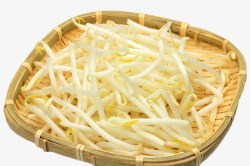 竹篮里的白豆芽素材
