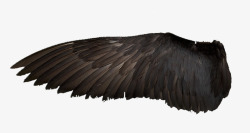 黑色翅膀装饰素材