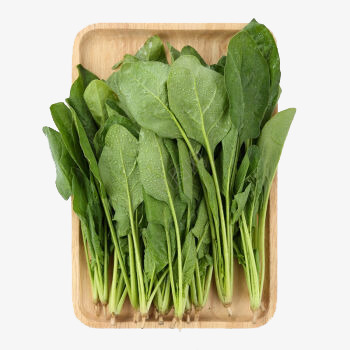 新鲜菠菜png免抠素材_新图网 https://ixintu.com 实物 新鲜蔬菜 有机蔬菜 绿色 菠菜 蔬菜