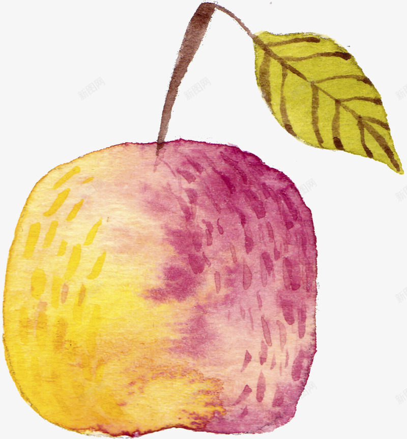 水彩美味水果苹果png免抠素材_新图网 https://ixintu.com 叶子 好吃的 彩绘 彩色 桔梗 水墨 水果 苹果