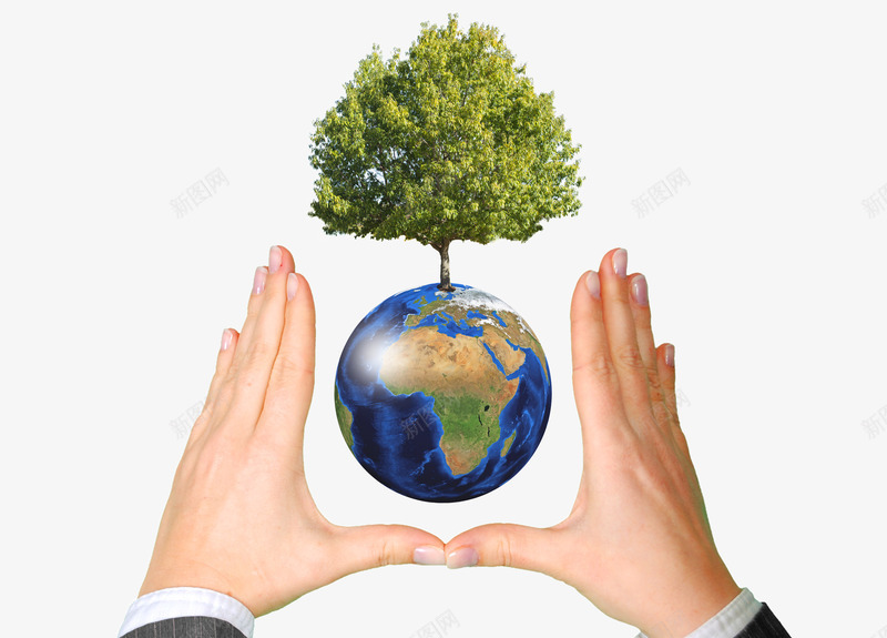手与地球之间的树png免抠素材_新图网 https://ixintu.com 地球 手 手掌树 树 爱护环境