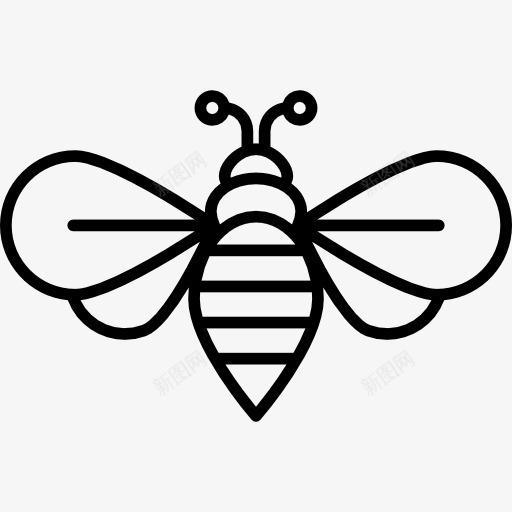 蜜蜂图标png_新图网 https://ixintu.com 动物 天线 昆虫 条纹 翅膀 蜂类