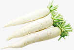 白萝卜蔬菜卡通造型png免抠素材_新图网 https://ixintu.com 卡通 白萝卜 蔬菜 造型