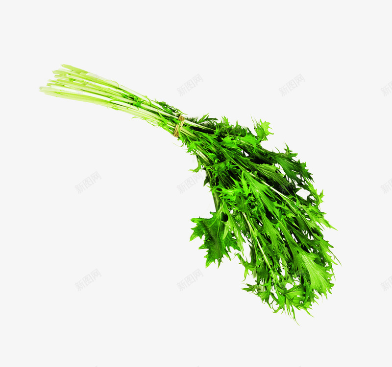 绿色新鲜蔬菜香芹芹菜png免抠素材_新图网 https://ixintu.com 新鲜 绿色 芹菜 蔬菜
