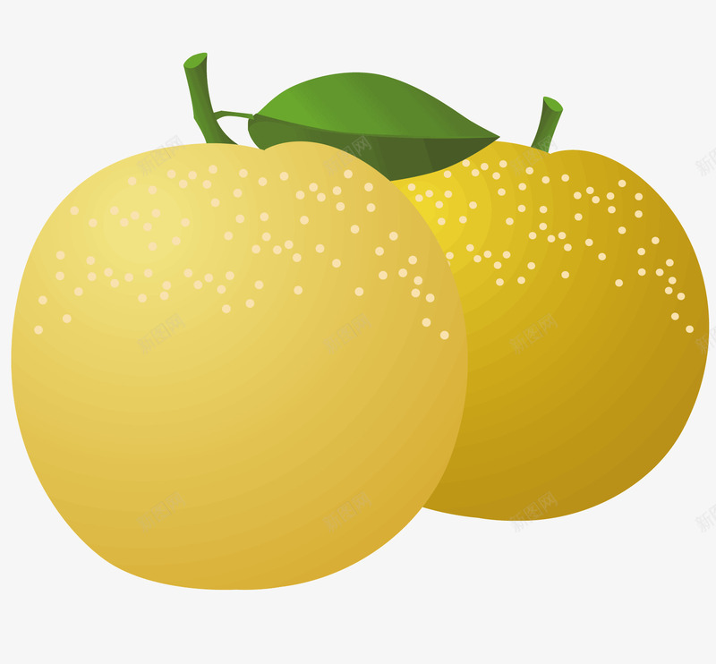 两个黄色的梨矢量图ai免抠素材_新图网 https://ixintu.com 两个栗子 水果蔬菜 白色斑点 绿色叶子 食物 黄色水果 矢量图