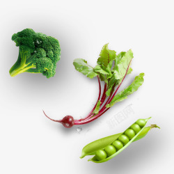 绿色新鲜蔬菜素材