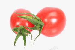 实物红色带藤樱桃番茄素材