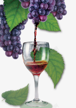 新鲜葡萄葡萄酒自然素材