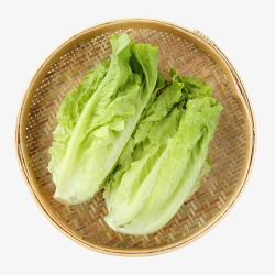 绿色小白菜蔬菜高清图片