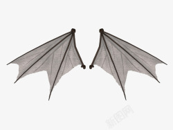 蝙蝠羽翅蝙蝠翅膀高清图片