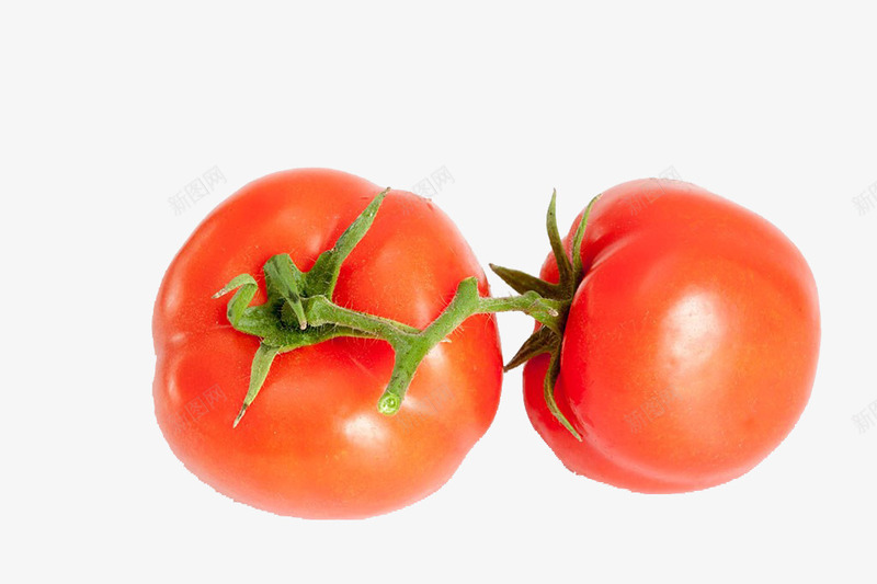 新鲜番茄png免抠素材_新图网 https://ixintu.com 实物 新鲜 番茄 蔬菜 西红柿