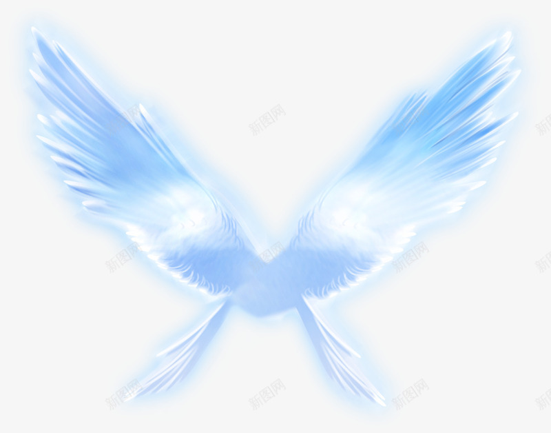 蓝色的翅膀png免抠素材_新图网 https://ixintu.com 白色 翅膀 翱翔 透明