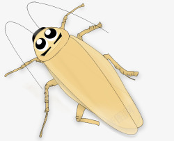 蟑螂图片卡通小蟑螂高清图片