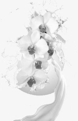 牛奶创意花朵素材