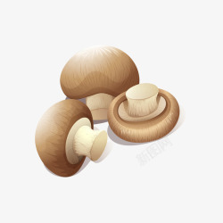 香菇装饰手绘香菇高清图片